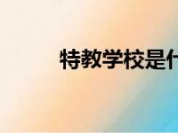 特教学校是什么意思（特教学校）