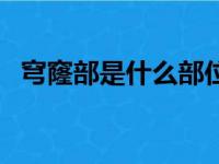 穹窿部是什么部位（穹窿部是眼睛的哪里）