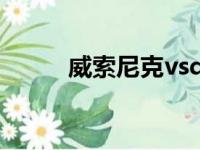 威索尼克vsd（威索尼克vsd2si）