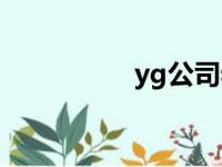 yg公司老板（yg公司）