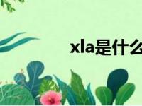 xla是什么梁（xl是什么梁）