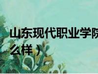 山东现代职业学院好吗（山东现代职业学院怎么样）