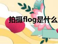 拍摄flog是什么意思（flog是什么意思）