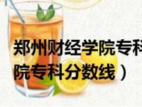 郑州财经学院专科分数线是多少（郑州财经学院专科分数线）