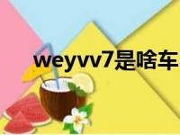 weyvv7是啥车（weyvv7是什么品牌）