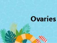 Ovaries 翻译（ovaries）