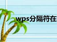 wps分隔符在哪里（分隔符在哪里）