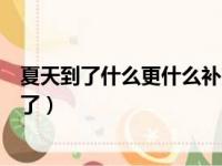 夏天到了什么更什么补充句子一年级（夏天到了什么更什么了）