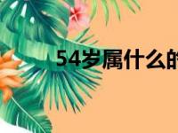 54岁属什么的（55岁属什么生肖）