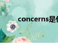 concerns是什么意思（concern）