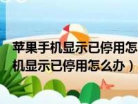 苹果手机显示已停用怎么办才能解开可以不刷机吗（苹果手机显示已停用怎么办）