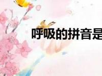 呼吸的拼音是什么?（呼吸的释义）