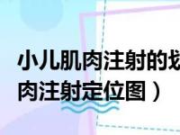 小儿肌肉注射的划分方法及注意事项（小儿肌肉注射定位图）