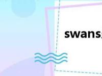 swans乐队（swans）