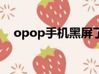 opop手机黑屏了怎么恢复（opop手机）