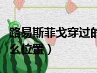 路易斯菲戈穿过的球衣号码（路易斯菲戈踢什么位置）