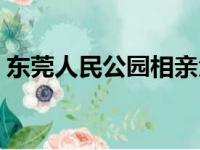 东莞人民公园相亲角在哪里（东莞人民公园）