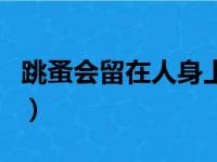 跳蚤会留在人身上么（跳蚤会寄生在人身上吗）