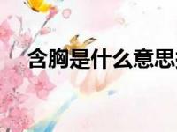 含胸是什么意思拔背（含胸是什么意思）