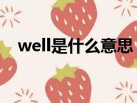 well是什么意思 翻译（well是什么意思）