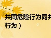 共同危险行为同共同侵权行为一样（共同危险行为）