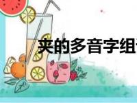 夹的多音字组词（大的多音字组词）