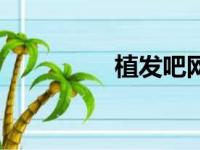 植发吧网页版（植发吧）