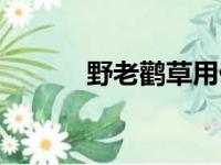 野老鹳草用什么除草剂（野老）