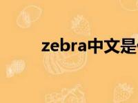 zebra中文是什么（zebra的中文）