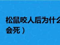 松鼠咬人后为什么会死掉（松鼠咬人后为什么会死）