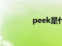 peek是什么材料（peek）