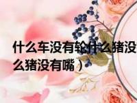 什么车没有轮什么猪没有嘴什么驴没有毛（什么车没有轮什么猪没有嘴）