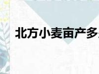 北方小麦亩产多少斤（小麦亩产多少斤）