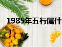 1985年五行属什么属性（1985年五行属什么）