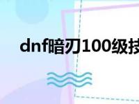 dnf暗刃100级技能加点（dnf暗刃加点）