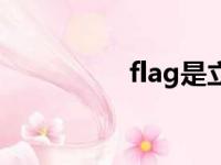 flag是立目标吗（flag）