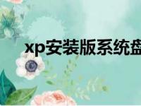 xp安装版系统盘（xp安装office2010）