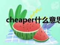 cheaper什么意思翻译（cheaper的意思）