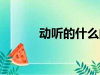 动听的什么的歌（动听的什么）