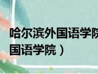 哈尔滨外国语学院是民办还是公办（哈尔滨外国语学院）