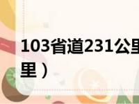 103省道231公里35o米处（103省道350公里）