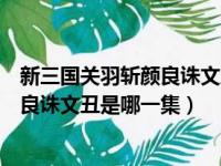 新三国关羽斩颜良诛文丑是哪一集出现的（新三国关羽斩颜良诛文丑是哪一集）