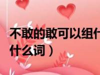 不敢的敢可以组什么词成语（不敢的敢可以组什么词）