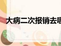 大病二次报销去哪里申请（大病二次报销）