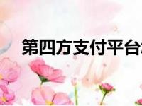 第四方支付平台怎么赚钱（第四方支付）