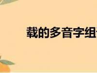 载的多音字组词（大的多音字组词）