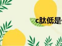 c肽低是什么意思（c肽）