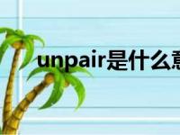 unpair是什么意思（pair是什么意思）