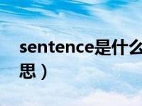 sentence是什么意思（sentences是什么意思）