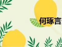 何琢言多大（何琢言）